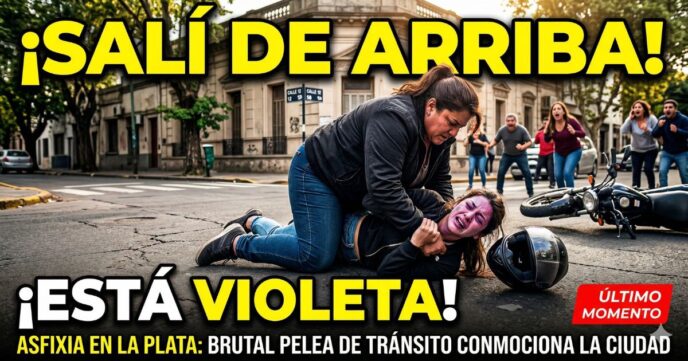 Mujer asfixia a motociclista contra el asfalto durante una brutal pelea de tránsito en 12 y 58 La Plata