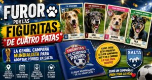 Campaña viral adopción de perros en Salta figuritas del mundial