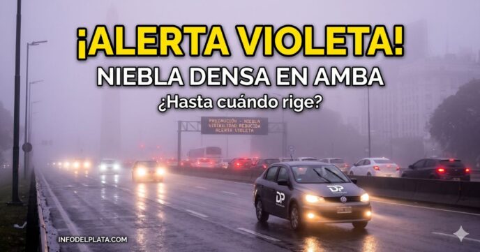 Fotografía de autos circulando con mínima visibilidad por intensa niebla en una autopista del AMBA bajo advertencia violeta del Servicio Meteorológico Nacional.