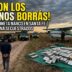 Detención hermanos Borras operativo avioneta narco y secuestro de 321 kilos de cocaína en Santa Fe Gendarmería