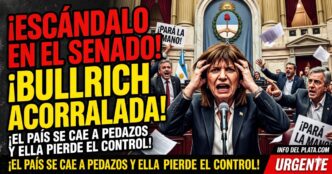 Patricia Bullrich desesperada y acorralada en el Senado de la Nación por el escándalo del Gobierno de Milei.