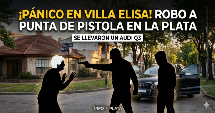 Ilustración del dramático asalto en Villa Elisa: ladrones encañonan a una jubilada para robarle su Audi Q3.