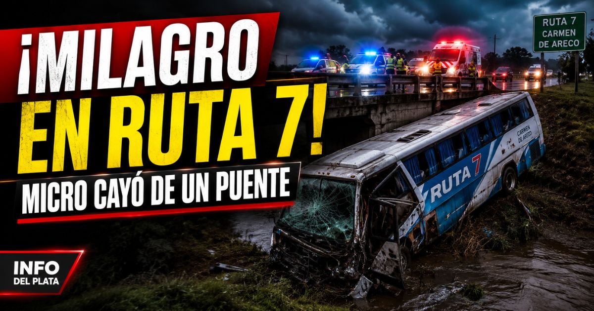 Micro caído de un puente en la Ruta 7, en Carmen de Areco, tras un grave accidente con 20 heridos.
