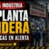 Conductor en el estudio de noticias de Info del Plata Noticias presentando informe sobre la rebelión de la UIA y el acto del Día de la Industria en el Conurbano.