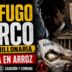 Conductor en el estudio de noticias de Info del Plata Noticias presentando informe sobre la orden de captura internacional contra Guillermo Heisinger por la causa del Narcoarroz.