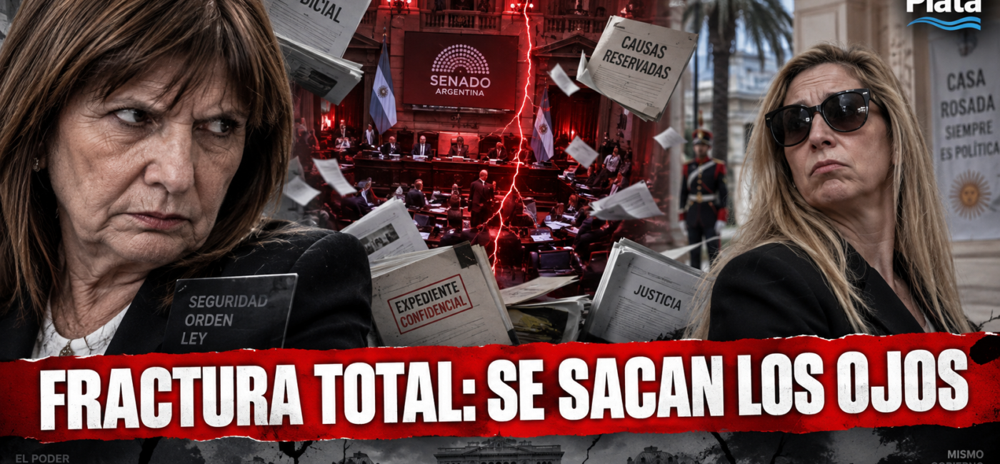interna patricia bullrich karina milei senado