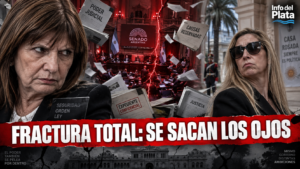 interna patricia bullrich karina milei senado